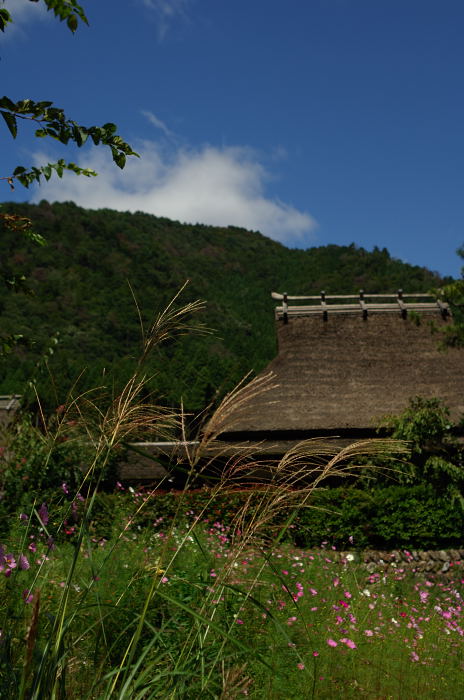 初秋の美山・世間はやはり狭かった!_f0032011_1914412.jpg