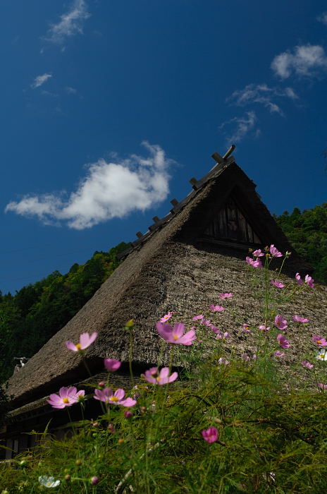 初秋の美山・世間はやはり狭かった!_f0032011_1915461.jpg