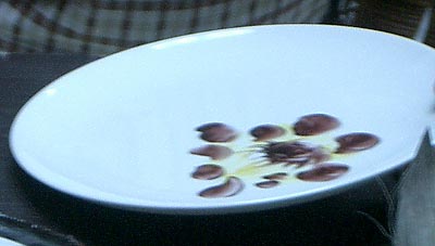 e0034012_0101923.jpg