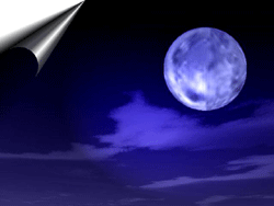 a0055913_06573.gif