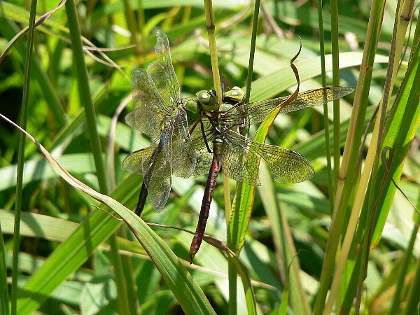 e0002314_20102476.jpg