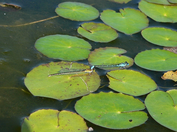 e0002314_201163.jpg