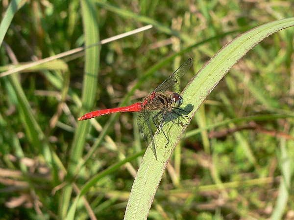e0002314_20262067.jpg