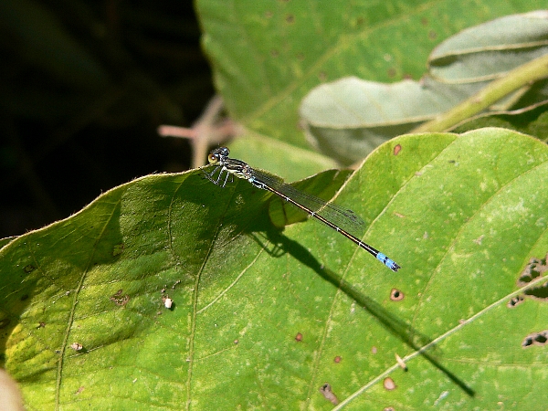 e0002314_2032074.jpg