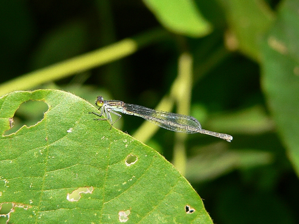 e0002314_2033781.jpg