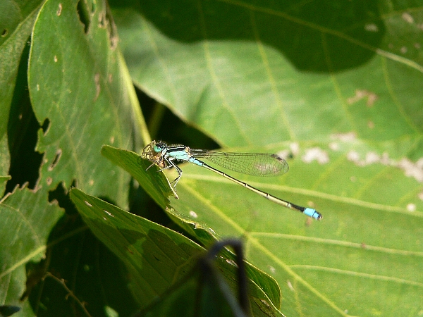e0002314_2041399.jpg