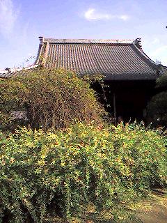 鎌倉散策　宝戒寺_d0022623_2138173.jpg