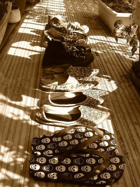 b0091728_16495266.jpg