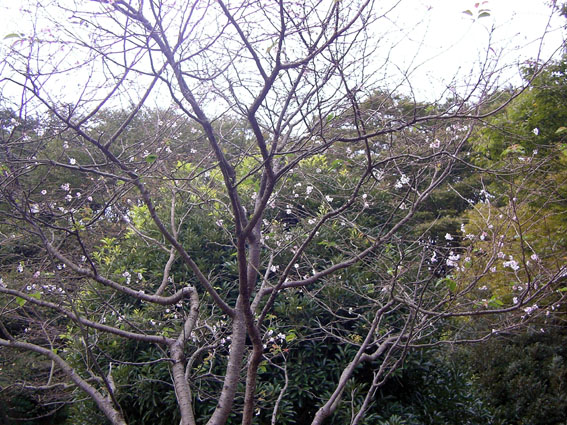 c0035838_9451696.jpg