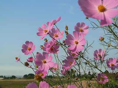 f0029038_20314094.jpg