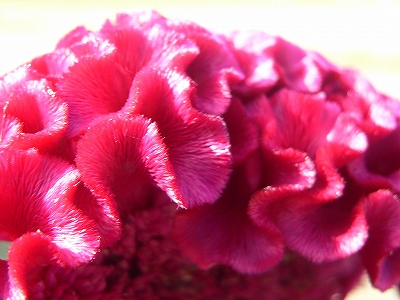 f0029038_20315672.jpg