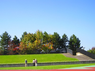 a0022041_21345589.jpg