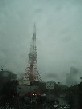 d0039141_19461476.jpg