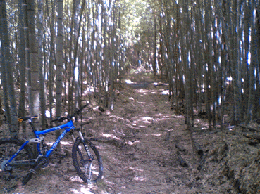 a0026445_23173569.gif