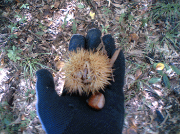 a0026445_23211153.gif