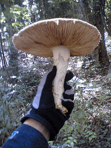a0026445_2322327.gif