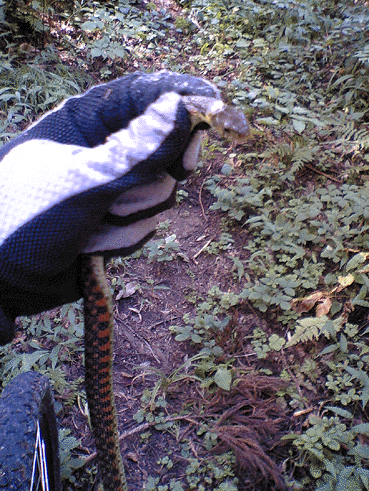 a0026445_23241910.gif