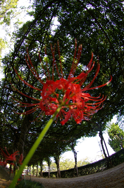 a0009554_2237338.jpg