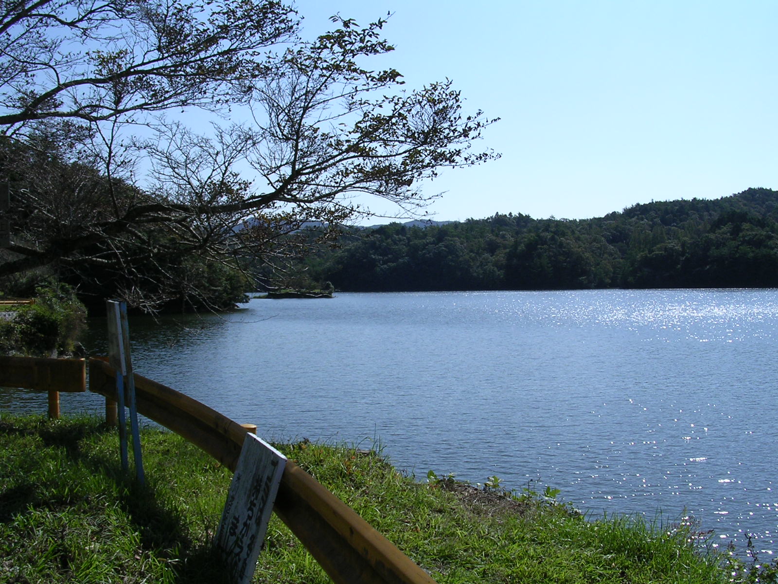 a0063856_949297.jpg