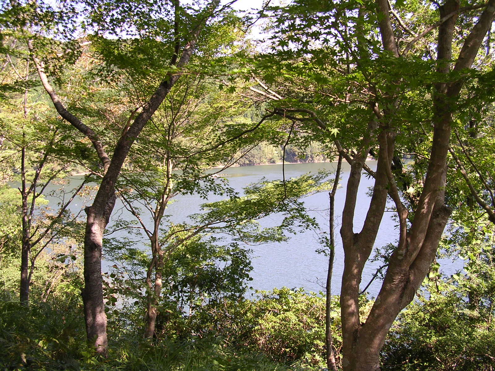 a0063856_9512788.jpg