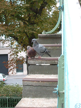 d0085274_9162916.gif