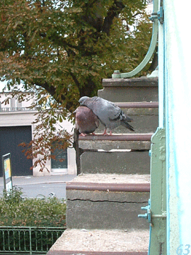 d0085274_9184837.gif