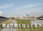 c0090084_21422540.gif