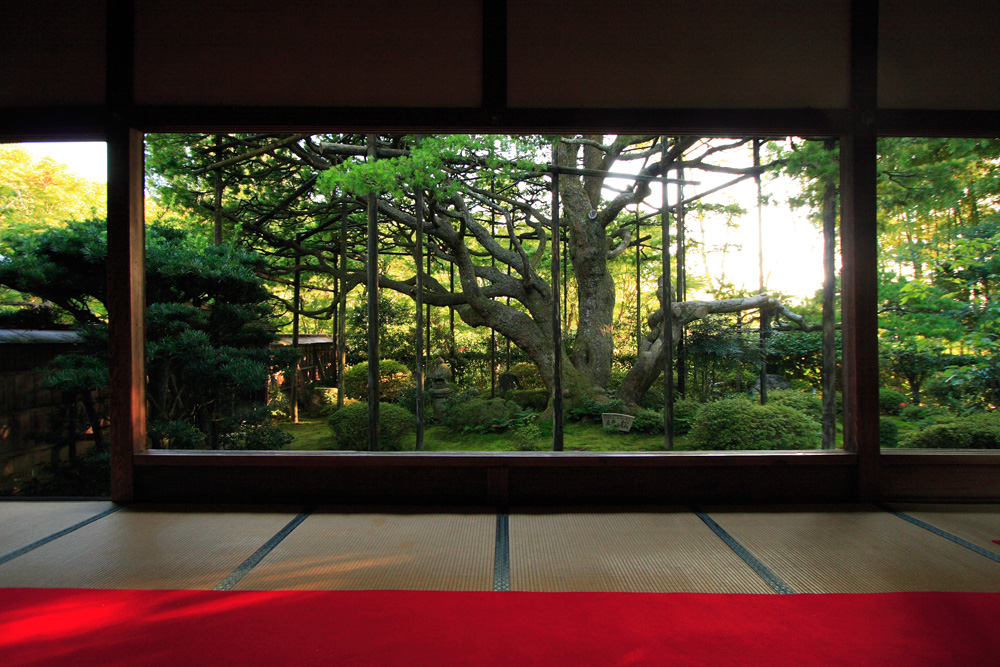夕刻の宝泉院_e0051888_9393310.jpg