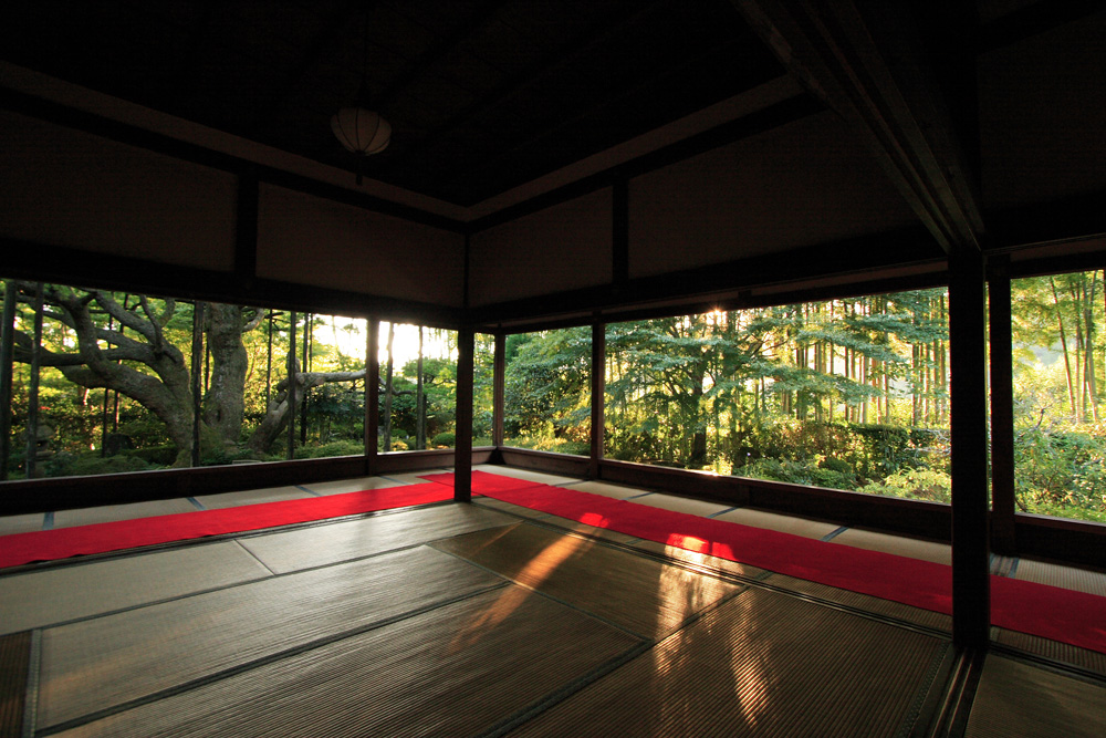 夕刻の宝泉院_e0051888_9394669.jpg