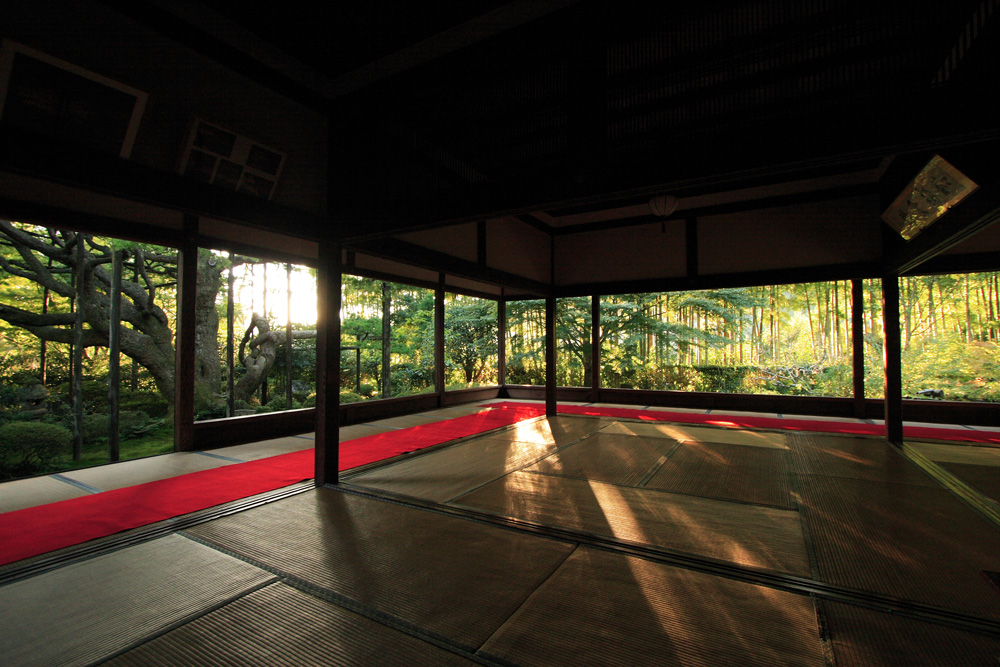 夕刻の宝泉院_e0051888_939577.jpg