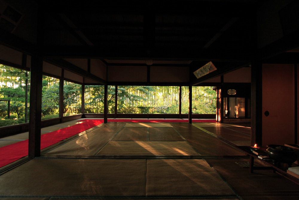 夕刻の宝泉院_e0051888_94081.jpg