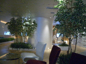 d0080998_1071777.jpg
