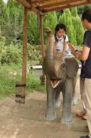 大人のための動物園 ～天王寺動物園②_d0064000_8381012.jpg