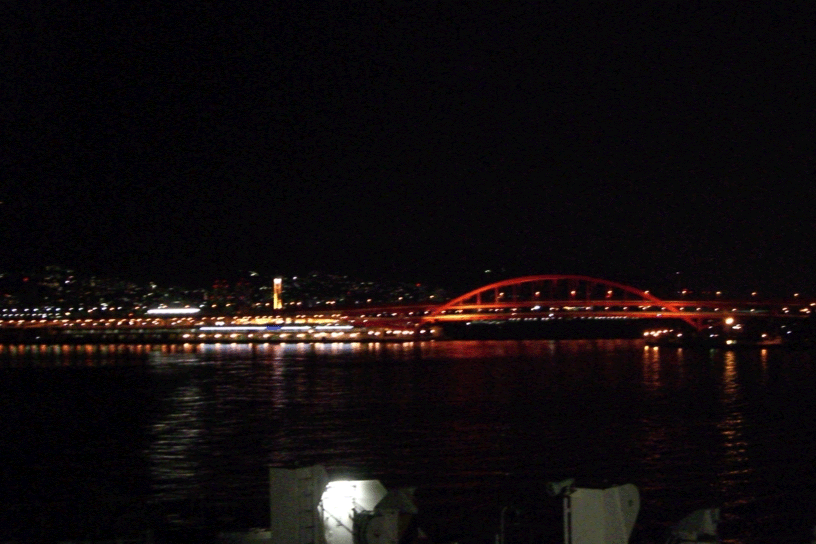 e0063003_11495218.gif