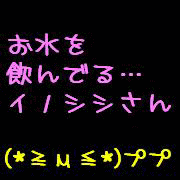 f0072010_22433621.gif