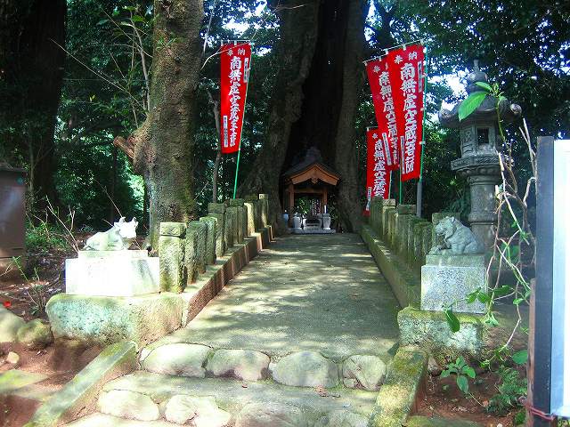 b0064411_41387.jpg