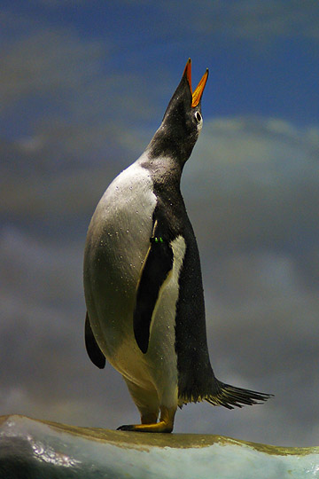 f0012628_0425817.jpg