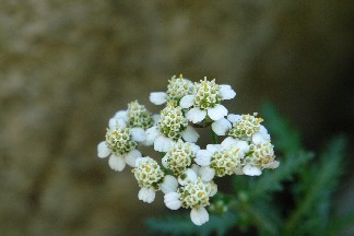 b0088444_23152299.jpg