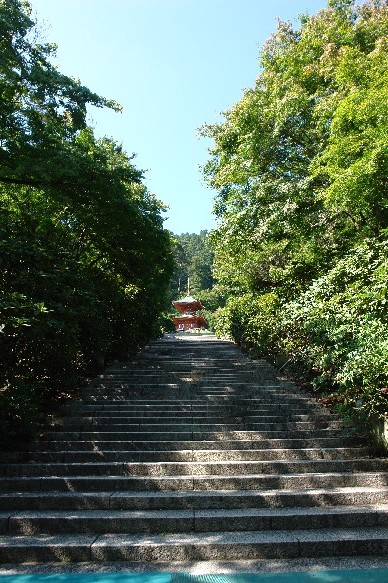 b0088444_239405.jpg