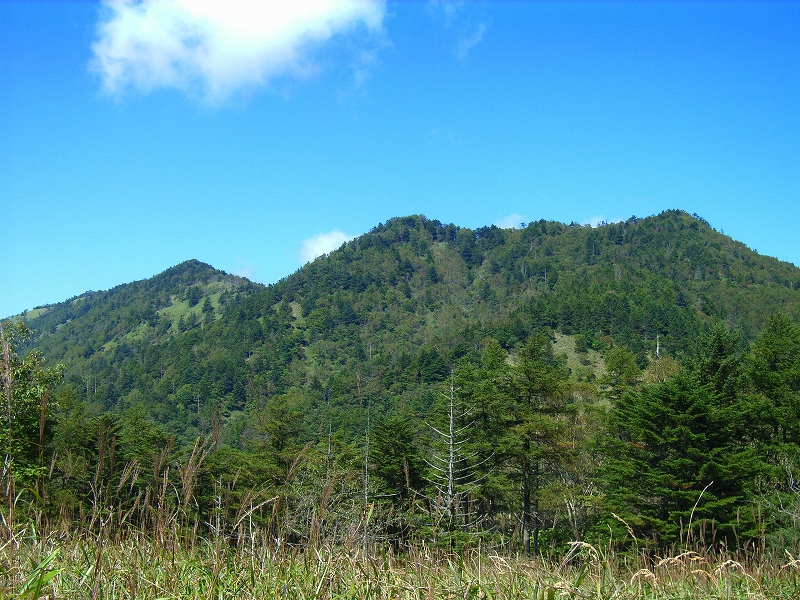 花も華もない(水晶山）_c0008948_1436747.jpg