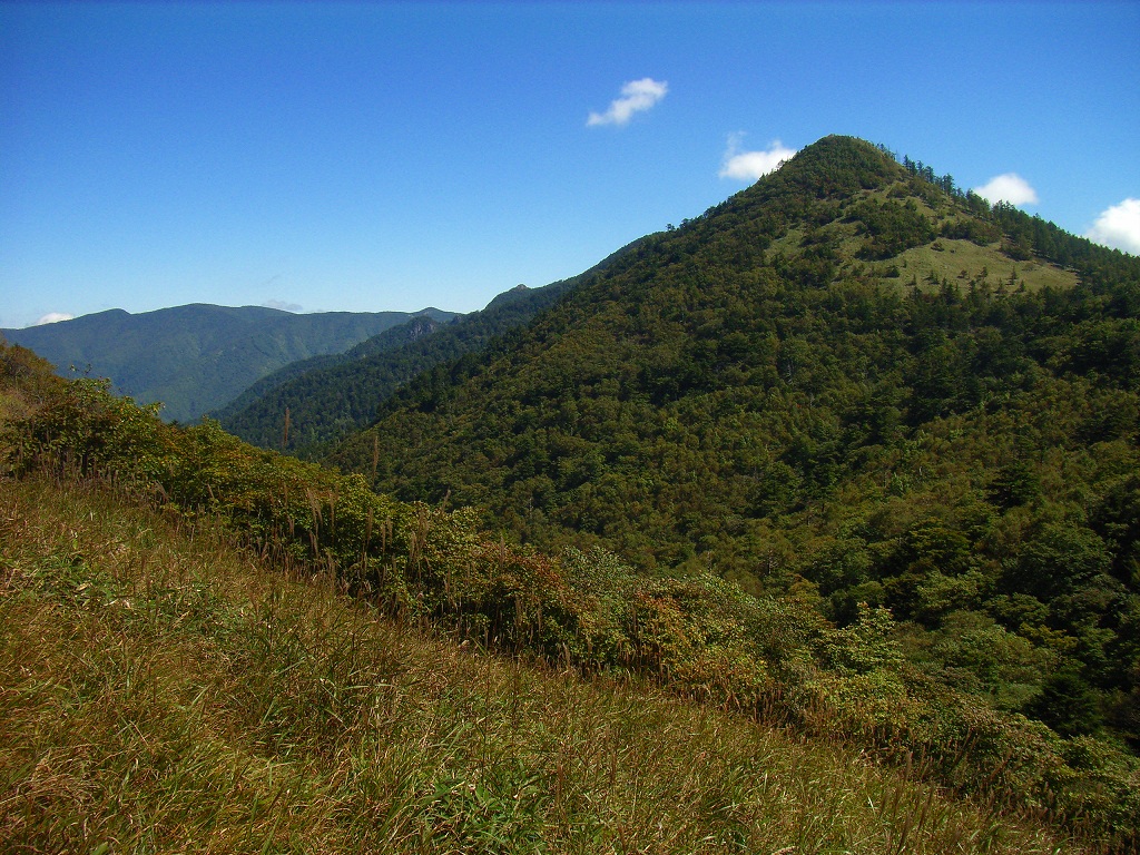 花も華もない(水晶山）_c0008948_14391512.jpg