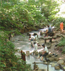 d0016750_16212789.jpg