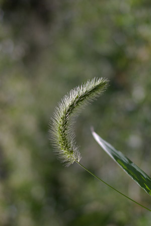 e0028952_20104685.jpg