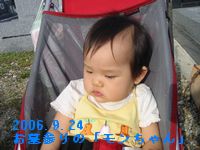 a0052666_0432072.jpg