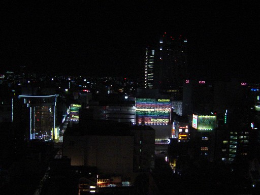 大阪・京都の旅2006　その3_c0070086_1621393.jpg