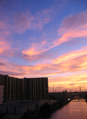 c0010590_2335928.jpg