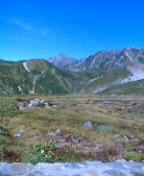 c0063790_21262510.jpg