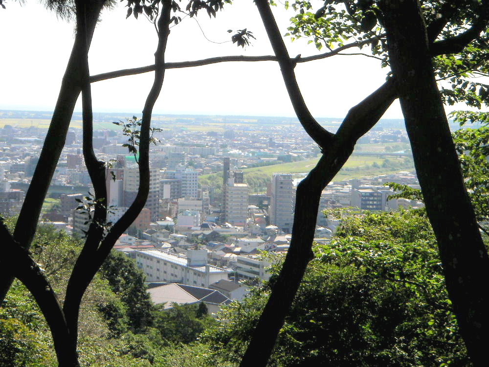 「宮城野萩」咲く仙台野草園と大年寺山の散策_f0100593_1942499.jpg