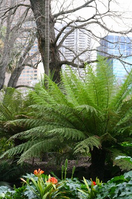 c0053898_8561090.jpg