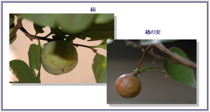 夏の名残_c0051105_059516.jpg